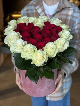 VD Box6 фото