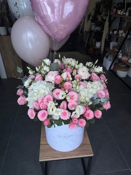 VD Box8 фото
