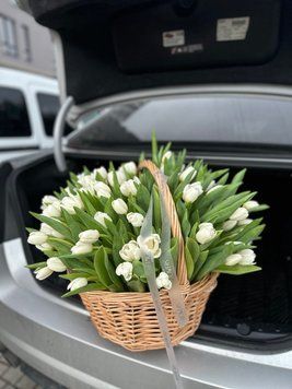 K31 фото